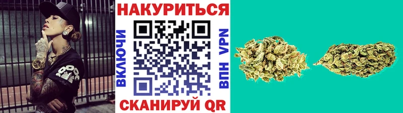 Купить где Верхняя Тура Бошки марихуана Ganja